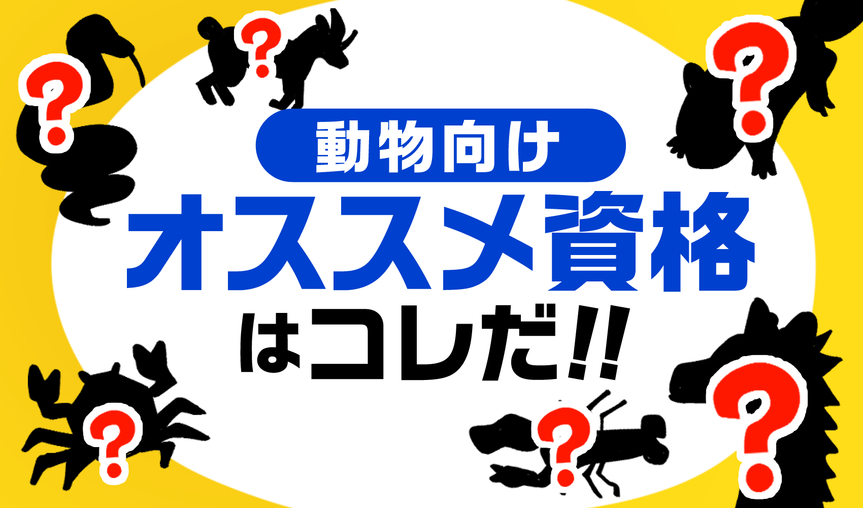 オススメ資格紹介